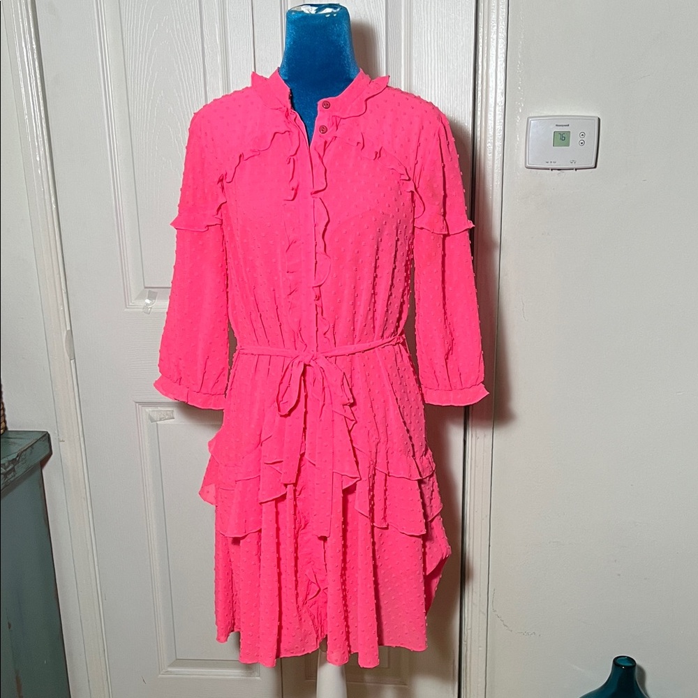 SALONI Tilly Pink Ruffle Dress Women’s 6